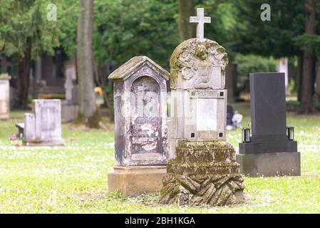 Ancien cimetière dans le centre de Bratislava. Le monument est recouvert de mousse. Banque D'Images