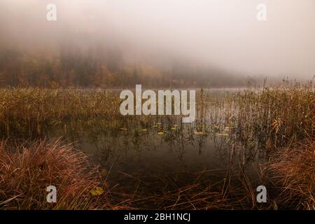 Brouillard matinal sur le lac du Bayern Banque D'Images