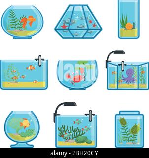 Illustrations de différents aquariums avec poissons et eau salée. Monde sous-marin dans l'aquarium avec vecteur de poissons d'or Illustration de Vecteur