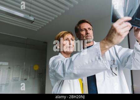 Deux médecins discutant x-ray image Banque D'Images