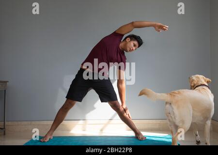 Homme faisant du yoga à la maison pendant que son chien se tient à côté de lui et regarder. Banque D'Images
