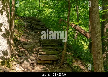 Sentier de gorge du parc national de Buttermilk Falls, Ithaca, New York Banque D'Images