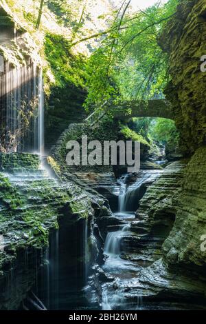 Le parc national Watkins Glen est le plus célèbre des parcs de Finger Lakes grâce à ses chutes d'eau et est situé au sud du lac Seneca dans l'état de New York. Banque D'Images