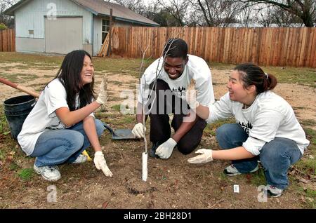 Austin, Texas États-Unis, 25 février 2006: Les étudiants de l'université du Texas poussent le quartier de St. John's dans le nord-est d'Austin dans le cadre d'un projet bénévole. ©Bob Daemmrich Banque D'Images