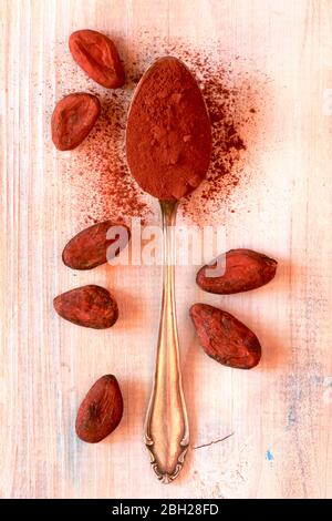 Allemagne, fèves de cacao et cuillère de cacao en poudre Banque D'Images