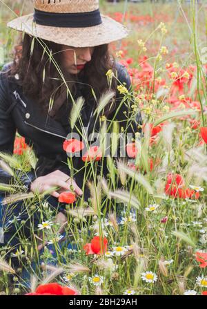 Jeune femme qui se croque dans le champ de pavot Banque D'Images