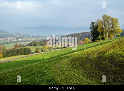 Vue sur la campagne d'automne avec des cultures d'hiver vertes sur les champs, les forêts de fin de forêt, Kronberg, Strass im Attergau, Haute-Autriche. Lac Attersee et ville dans f Banque D'Images