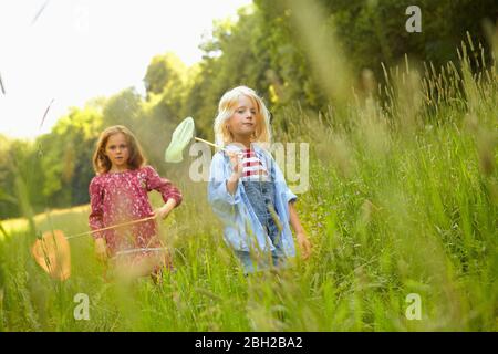 Filles marchant dans une grande herbe avec des filets de papillon Banque D'Images