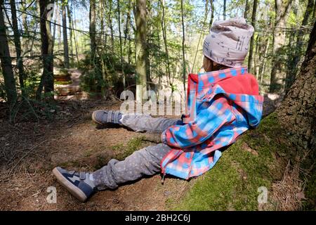 Vue arrière d'une fille caucasienne de 4 ans assise solitaire sur un tronc d'arbre sur le terrain forestier, ayant une pause et regardant les arbres autour. Je l’ai vu Banque D'Images