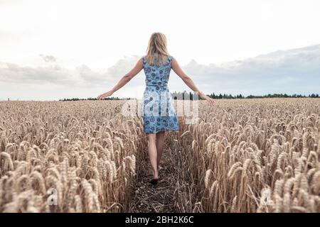 Vue arrière de la femme pieds nus marchant dans un champ de blé Banque D'Images