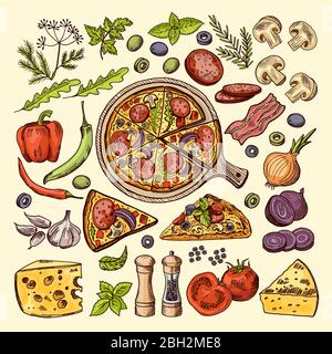 Tranches de pizza avec fromages, olives et autres ingrédients. Illustrations vectorielles dessinées à la main ingrédient italien de pizza, champignons de légumes et ail Illustration de Vecteur