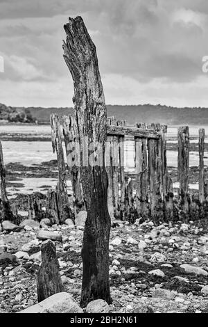 Des groynes pleurées à Gwynedd au nord du Pays de Galles sur la côte d'Aber avec le détroit de Menai en arrière-plan Banque D'Images