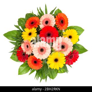 Gerbera fleurs bouquet isolé sur fond blanc. Têtes de fleurs rouges, jaunes, roses, orange Banque D'Images