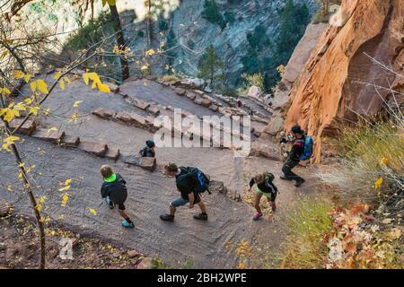 Randonneurs à Angels Landing Trail, Walters se trémousse Scout Lookout, lacets près de Zion National Park, Utah, USA Banque D'Images