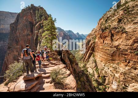 Randonneurs à Angels Landing Trail, ascension finale près de Scout Lookout, Zion National Park, Utah, États-Unis Banque D'Images