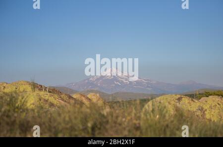 Vue d'été sur le Mont Erciyes à Kayseri, avec des fleurs sauvages. Aschodeline globifera Cappadocia, Turquie. Photo paysage Banque D'Images