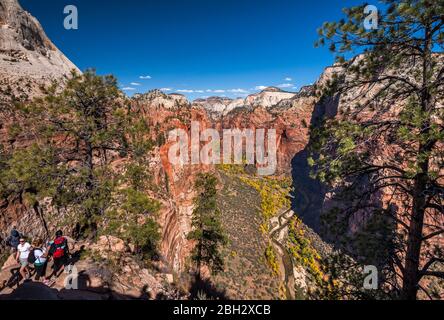 Angels Landing Trail, ascension finale, Zion Canyon ci-dessous, Zion National Park, Utah, États-Unis Banque D'Images