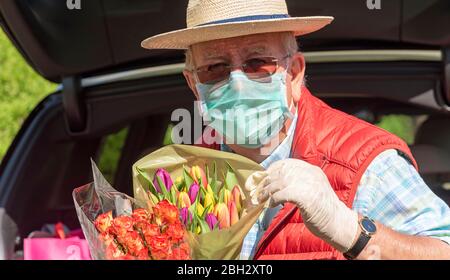 Angleterre Royaume-Uni. 2020. Homme âgé portant un masque et des gants déchargeant la boutique hebdomadaire et quelques fleurs colorées d'une voiture. Pendant Covid-19. Banque D'Images