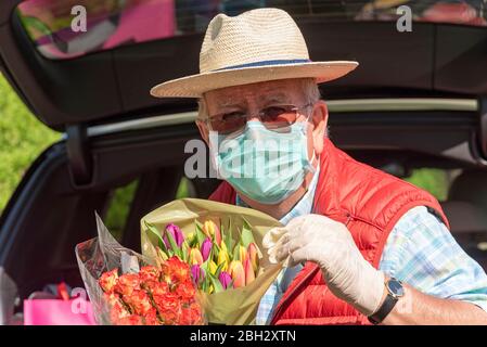 Angleterre Royaume-Uni. 2020. Homme âgé portant un masque et des gants déchargeant la boutique hebdomadaire et quelques fleurs colorées d'une voiture. Pendant Covid-19. Banque D'Images