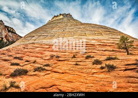 Scheccuboard Mesa, formation de bickrock à traverses, le long de Zion - Mount Carmel Highway, entrée au proche-Orient, Zion National Park, Utah, États-Unis Banque D'Images