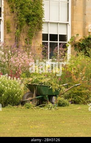 Brouille de plantes et de mauvaises herbes entre une bordure de plantes vivaces dans un jardin anglais Banque D'Images