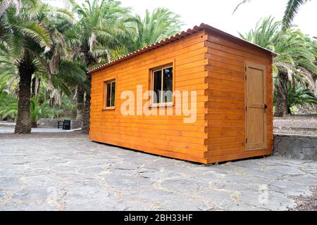 Cabine en bois simple avec fenêtres et toit en fer ondulé, entourée de palmiers, vue à angle bas. Banque D'Images