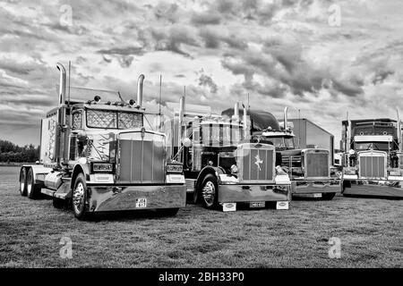 Les grands rigs classiques américains Kenworth W900B et Peterbilt ont été alignés sur Power Truck Show 2019. Conversion noir et blanc. Alaharma, Finlande. 9 août 2019. Banque D'Images