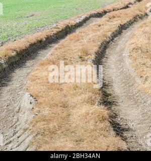 Impressions profondes des chenilles des pneus du tracteur dans un champ normalement boueux, séchage et courbure à distance. Effets de weedkiller visible le long de la piste. Banque D'Images