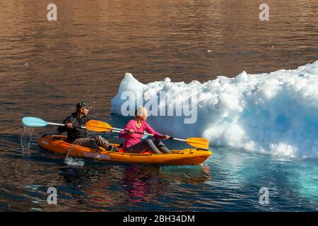 Un couple faisant du kayak autour d'un iceberg au Groenland en été Banque D'Images