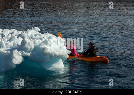 Un couple faisant du kayak autour d'un iceberg au Groenland en été Banque D'Images