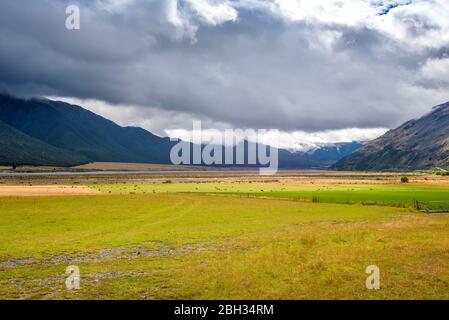 Montagne, collines, plaines, prairies, prairies, champs et rivière qui coule. Vallée de la rivière Waimakariri, près du col Arthur et du lac Pearson, Nouvelle-Zélande. Banque D'Images