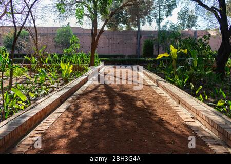 Arbres et plantes le long d'un chemin au Cyber Park à Marrakech Maroc avec les remparts de la ville à la fin Banque D'Images