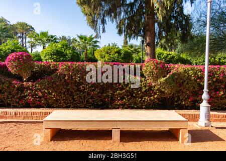 Banc devant les plantes à fleurs au Cyber Park à Marrakech Maroc Banque D'Images