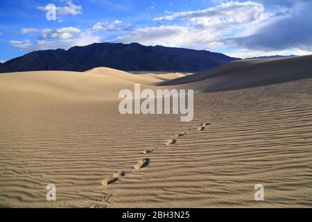 Empreintes de pas dans les dunes de sable de la vallée de la mort de Mesquite Banque D'Images
