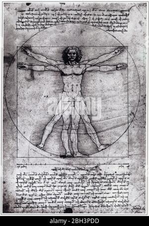 Léonard de Vinci. Vitruvian Man. 1492. Dessin Banque D'Images