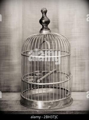 Image en noir et blanc de la grande cage à oiseaux en laiton vintage anglaise avec balancement en bois et en laiton, perchaude en bois et deux chargeurs en laiton. Banque D'Images