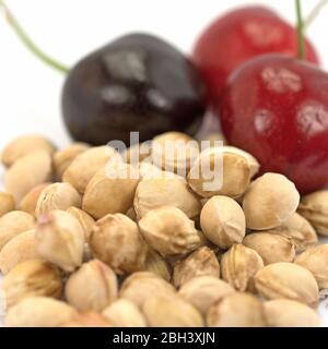 Amandes de cerise sucrées dans une clôture Banque D'Images