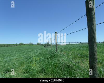 Vue en perspective d'une clôture de fil barbelé s'étendant sur la distance dans l'herbe verte longue Banque D'Images