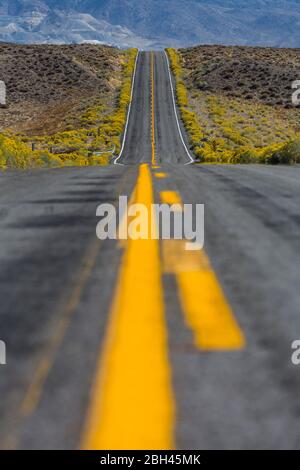 Route lonely menant au parc national de Berlin-ichthyosaur, Nevada, États-Unis Banque D'Images