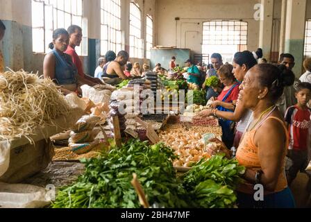 Marché agricole Cuatro Caminos. La Habana. Cuba Banque D'Images