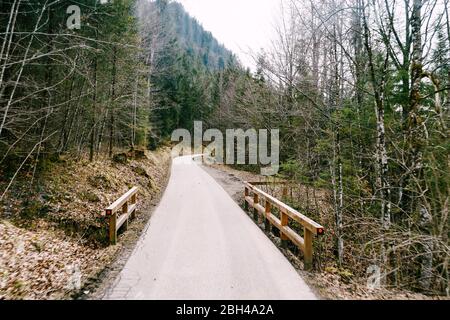 Route étroite dans les montagnes et dans la forêt de conifères, avec un petit pont en bois Banque D'Images