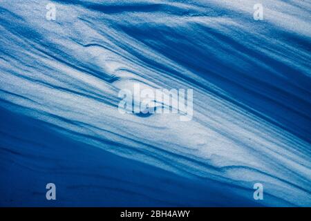 Le vent bleu frigid a balayé la neige Banque D'Images