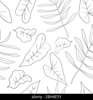 Feuilles de palmier tropical dessinées à la main, feuilles de jungle sans couture motif floral vectoriel. Idéal pour le textile. Arrière-plan été. Page pour colorier Illustration de Vecteur