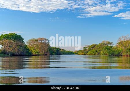 Soirée lumière dans le Pantanal dans le parc national de Pantanal au Brésil Banque D'Images