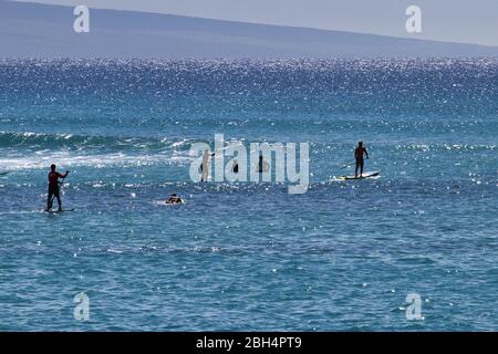 Surfeurs et pagayeurs non identifiables sur l'océan à Maui. Banque D'Images