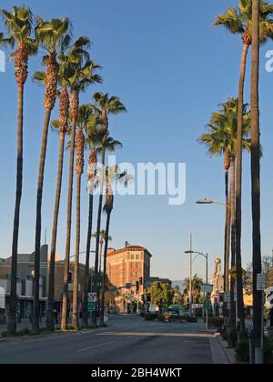 Rue bordée de palmiers et hôtel historique à Culver City, Californie Banque D'Images