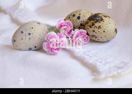 Œufs d'oiseau et fleurs roses Banque D'Images