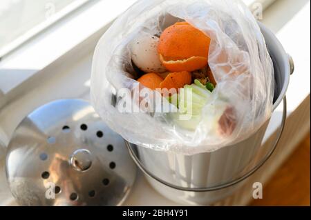 Bac à compost sur le rebord de la fenêtre Banque D'Images