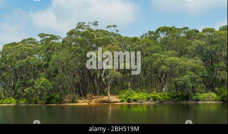 Lac Wentworth Falls au parc national Blue Mountains de Nouvelle-Galles du Sud, Australie Banque D'Images