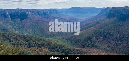 Vallée au parc national des Blue Mountains en Nouvelle-Galles du Sud, Australie Banque D'Images